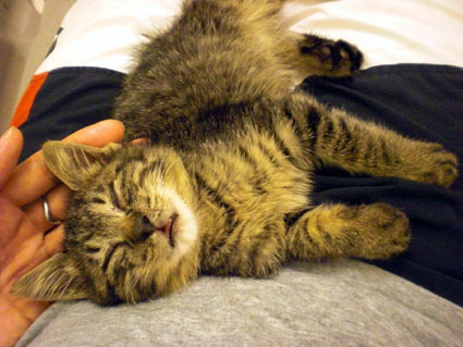 20081014home01.JPG