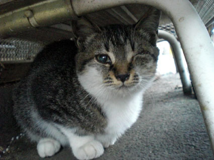 20081019fujimi02.JPG