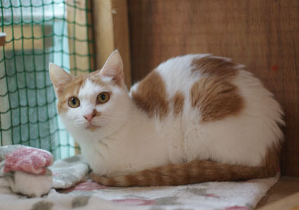 20081026fujimi09.JPG