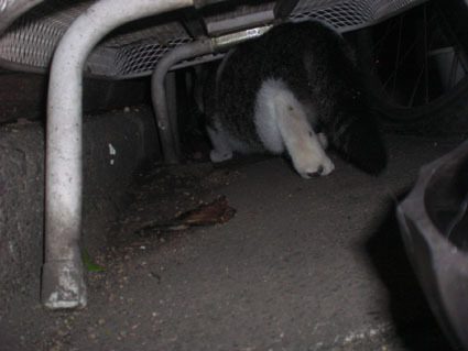 20081026fujimi23.JPG