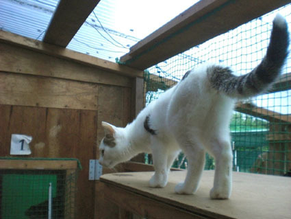 20081026matsu01.JPG