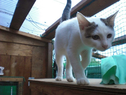 20081026matsu02.JPG
