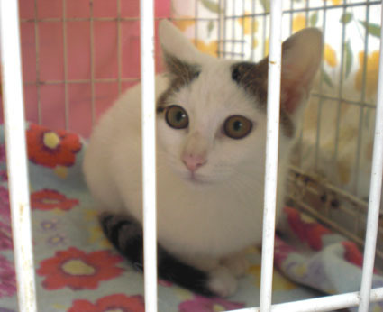20081026matsu03.JPG