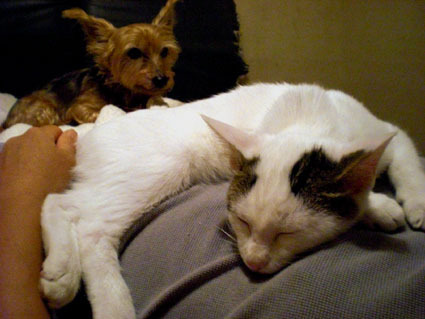 20081026matsu04.JPG