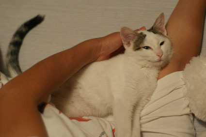 20081101natsu02.JPG