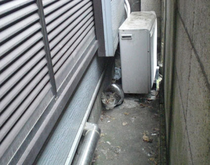 20081109kawasaki01.JPG