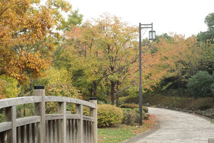 20081115odaiba03.JPG