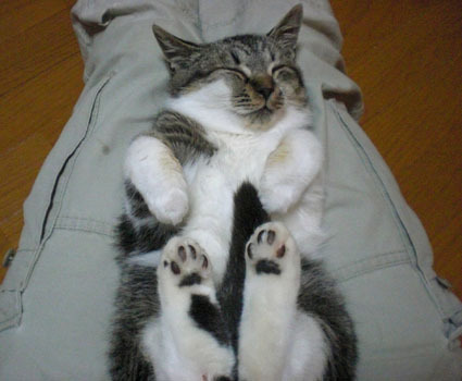 20081117muu01.JPG