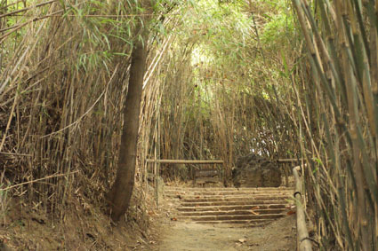 20081124sankei01.JPG