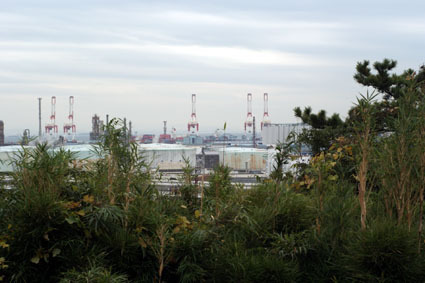 20081124sankei02.JPG