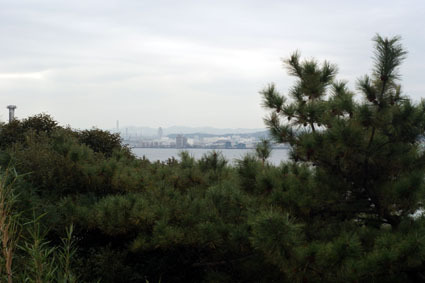 20081124sankei03.JPG
