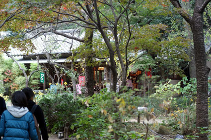 20081124sankei06.JPG