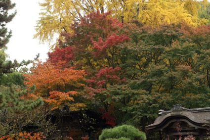 20081124sankei10.JPG