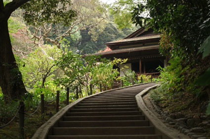 20081124sankei11.JPG