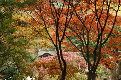 20081124sankei12.JPG