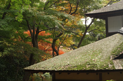 20081124sankei13.JPG