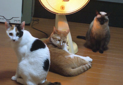 20081125home02.JPG