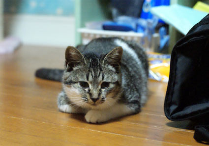 20081125home04.JPG