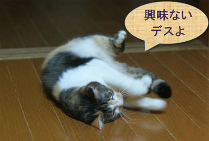 20081125home05.JPG