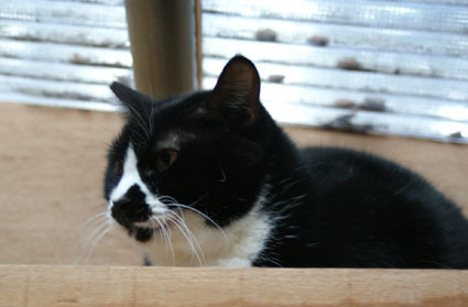 20081207fujimi58.JPG