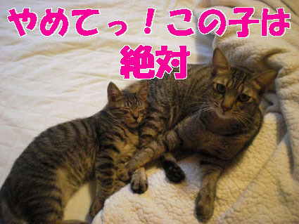 20081214home02.JPG