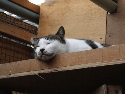20081221fujimi04.JPG