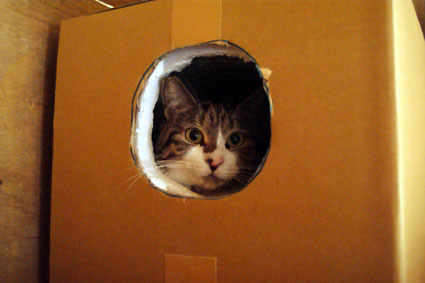 20081221fujimi08.JPG