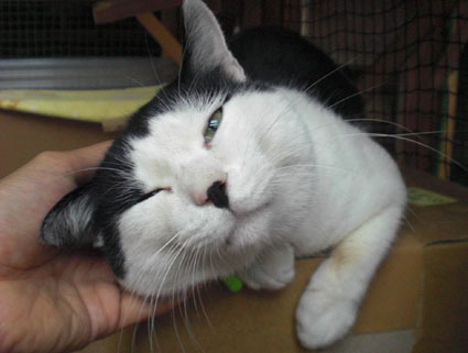20081221fujimi10.JPG