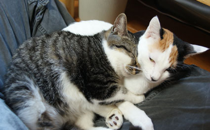 20081227muu01.JPG