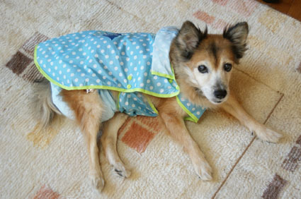 20081227poro01.JPG