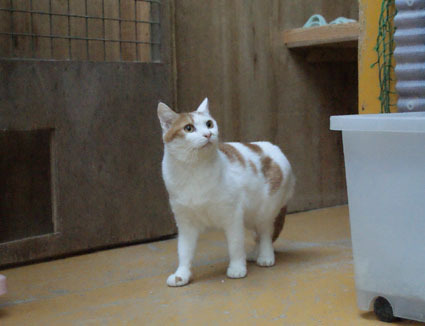 20081228fujimi13.JPG
