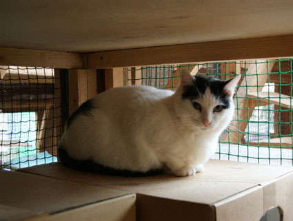20081228fujimi14.JPG