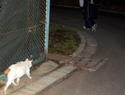 20090127park03.JPG