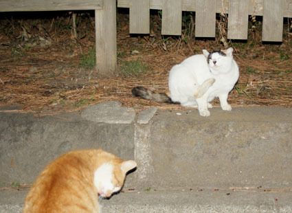 20090127park05.JPG
