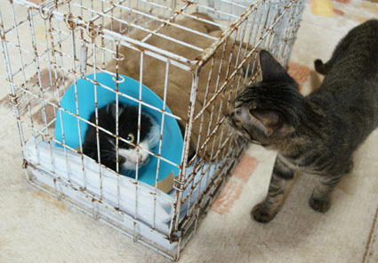 20090129mone02.JPG