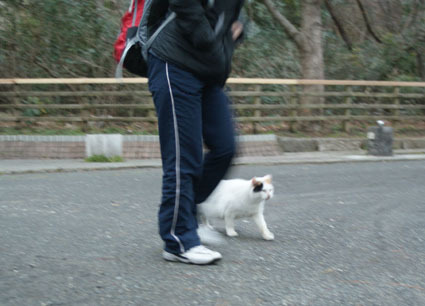 20090202park07.jpg