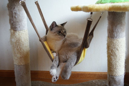 20090210cham03.JPG