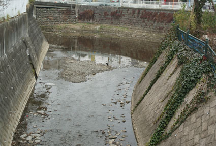 20090210riv03.JPG