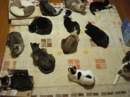 20090220home01.JPG