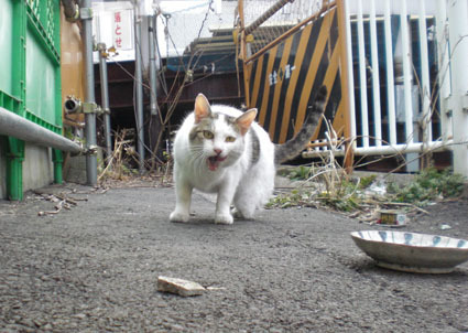 20090220kawa01.JPG