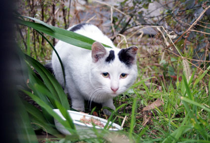 20090222kawasaki04.JPG