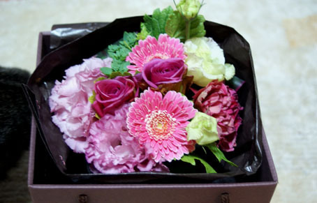 20090323flower01.JPG