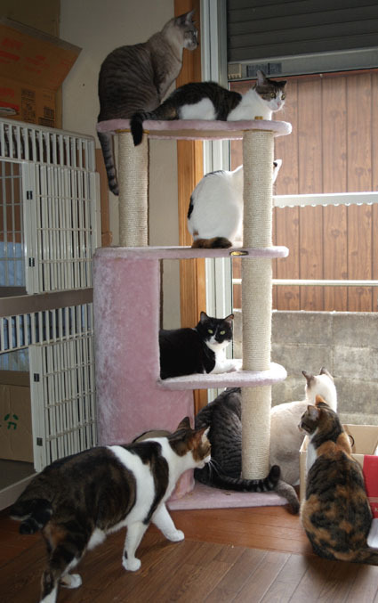 20090405home01.JPG
