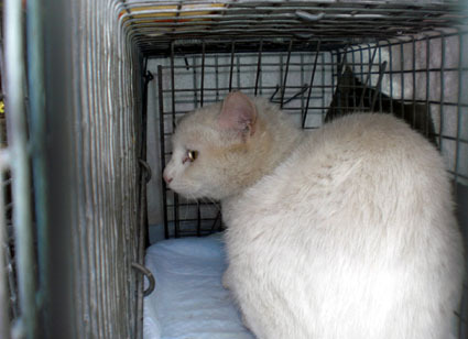 20090419home02.JPG