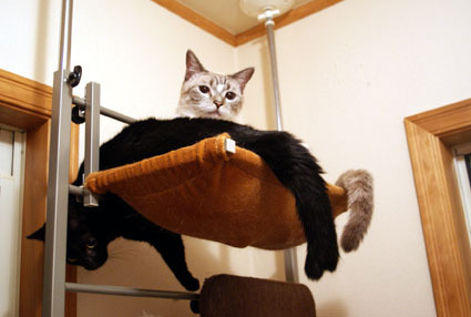 20090426home01.JPG
