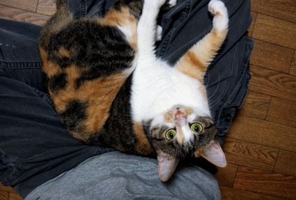 20090426home03.JPG