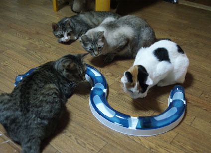 20090501home01.JPG