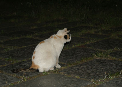 20090501park02.JPG