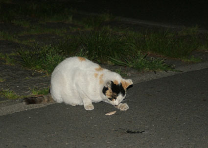 20090501park05.JPG
