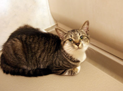 20090506home02.JPG